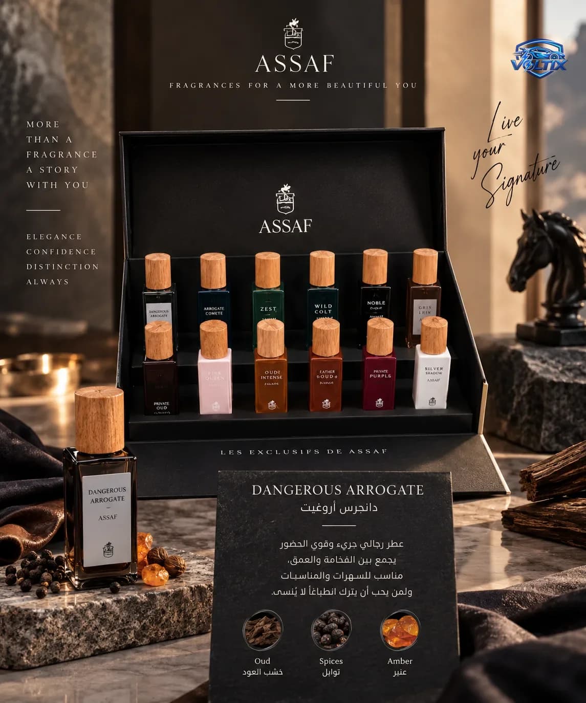 وصف للبكج باكج ASSAF – Les Exclusifs de Assaf ✨